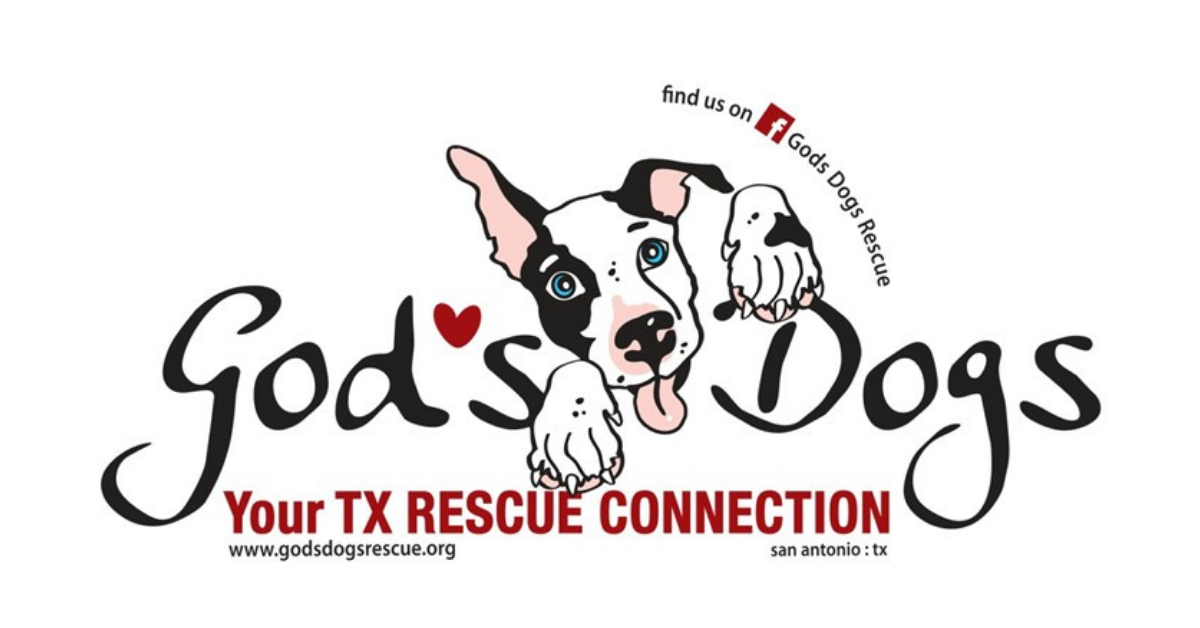 God’s Dogs Rescue Wins Our Support