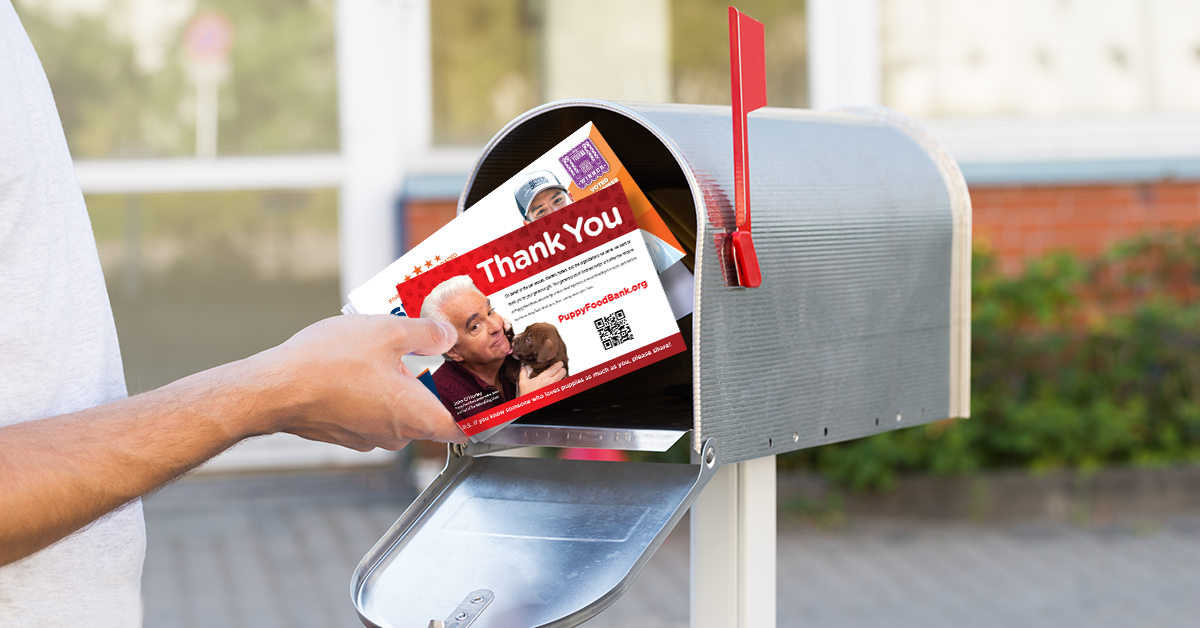 Leverage Your Brand with Direct Mail
